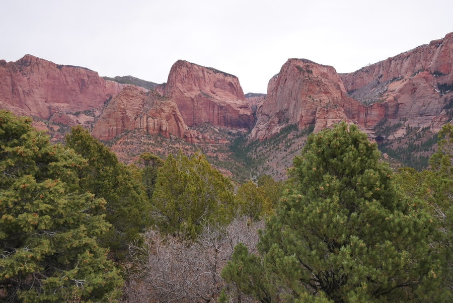 Kolob Canyon's Timber Creek Trail