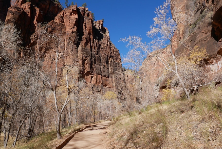 Riverside Walk in Zion National Park