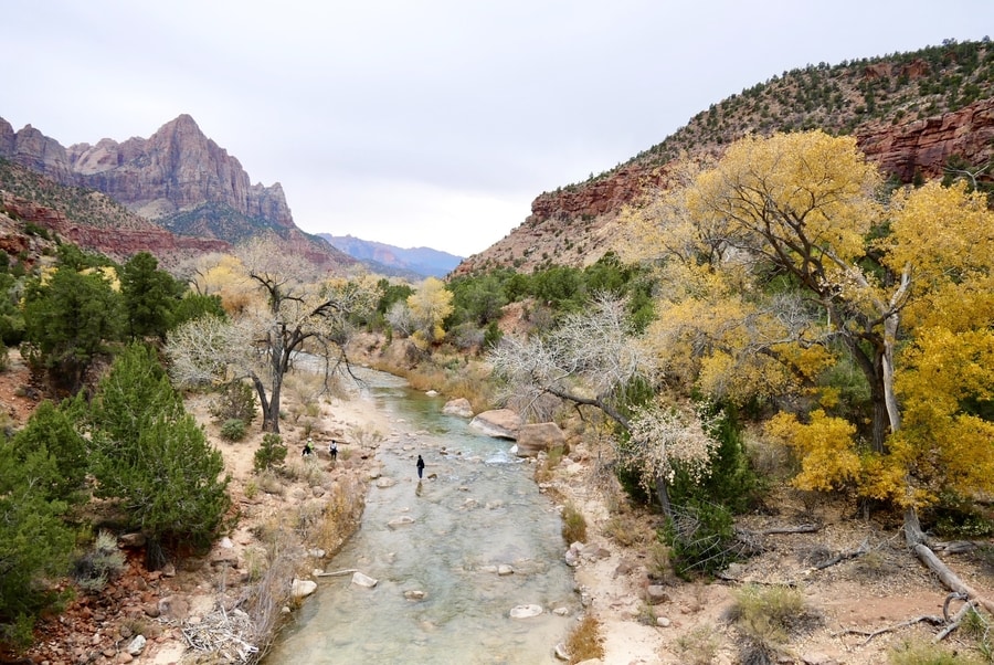 Fall colors in Zion national aprk