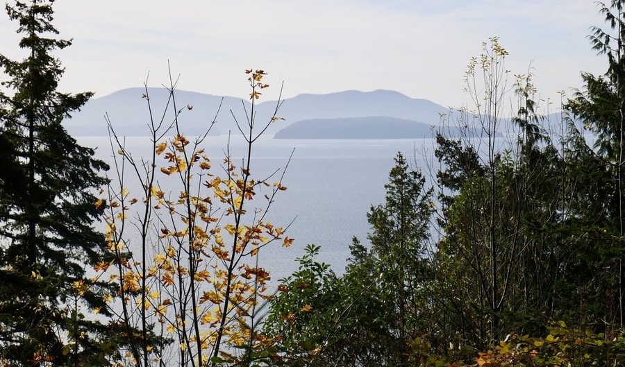 Chuckanut Drive Scenery