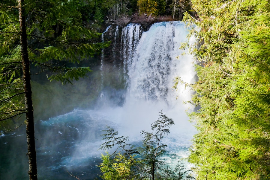 Koosah Falls, Oregon