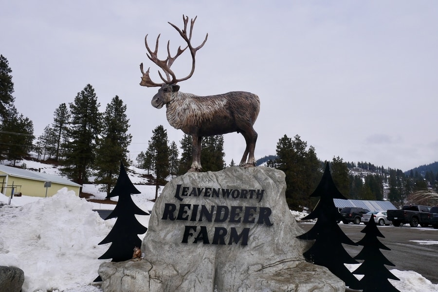 Leavenworth Reindeer Far