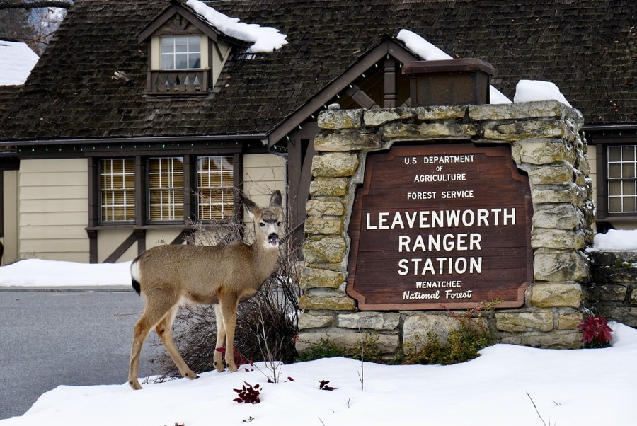 Leavenworth in Winter