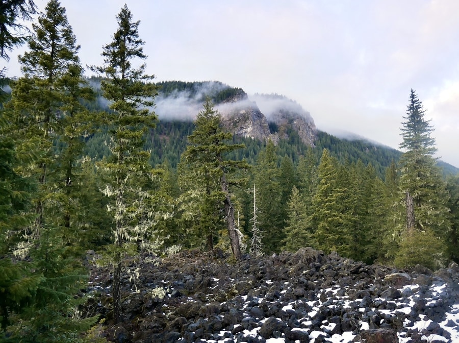 McKenzie Highway in Winter