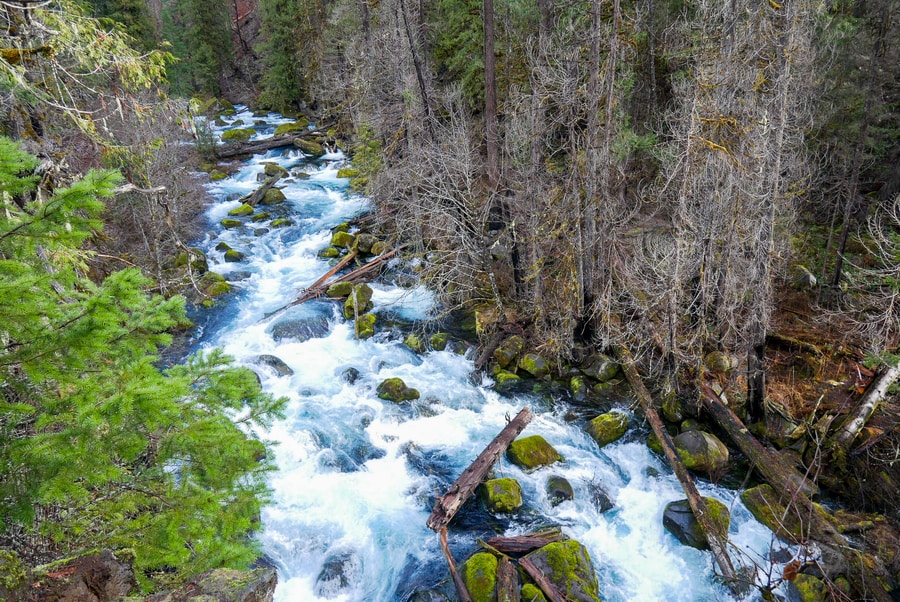 McKenzie River Oregon