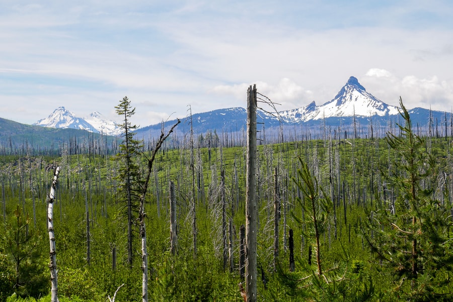 Mount Washington Viewpoint