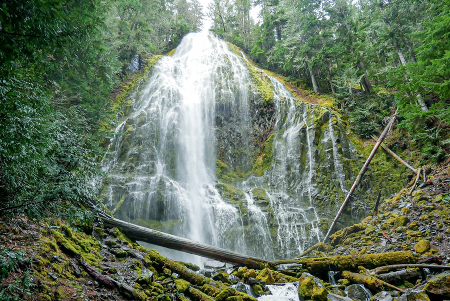 Proxy Falls, Highway 242