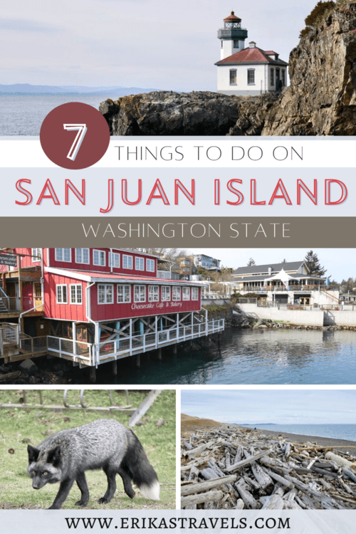 Things to Do on San Juan Island