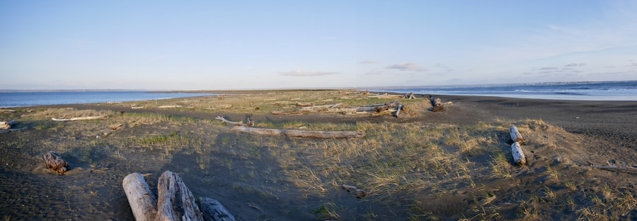 Damon Point Spit