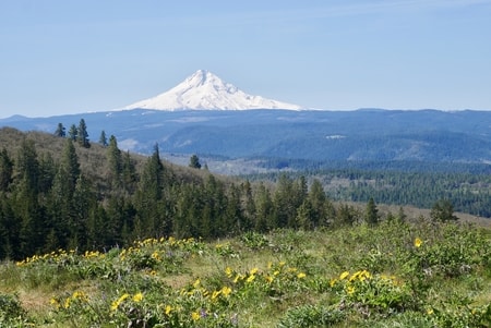 Mt Hood