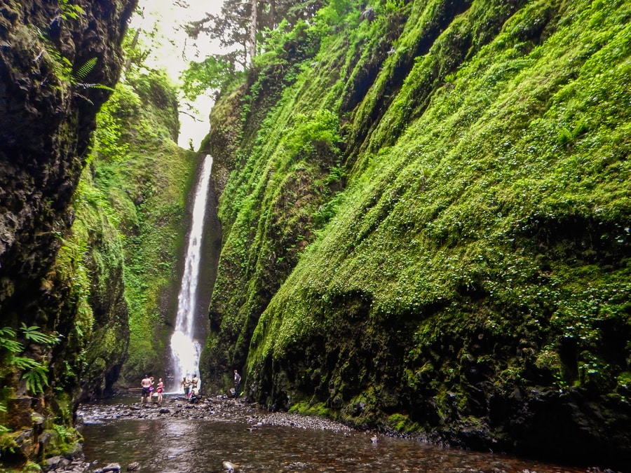 Oneonta Gorge