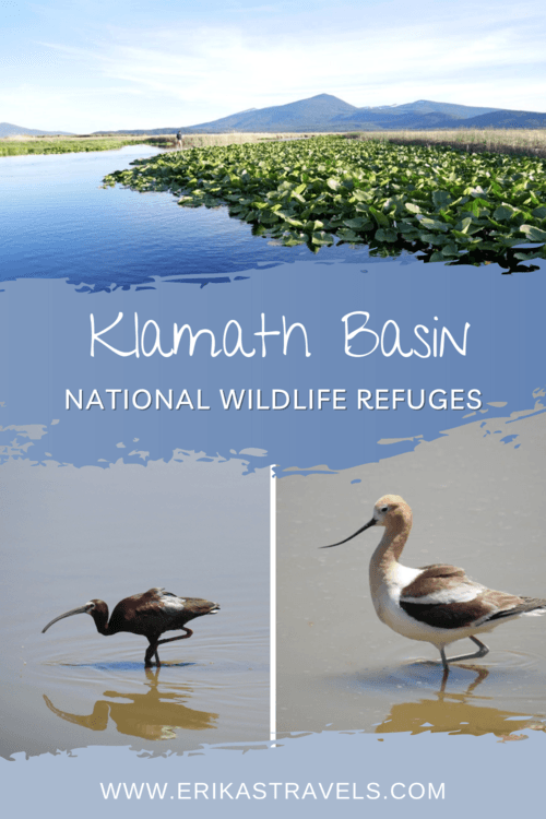 Klamath Basin NWR