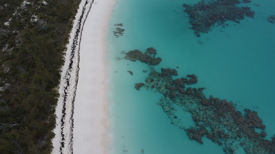 Lighthouse Beach