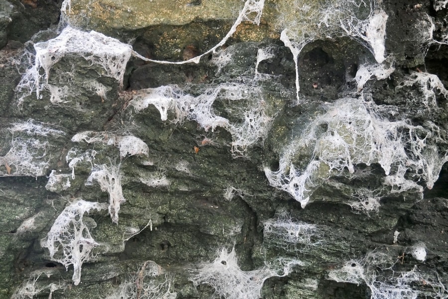 Spider Cave