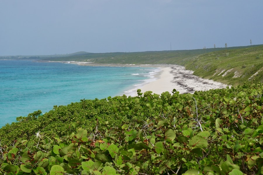 Surfer's Beach in Eleuthera