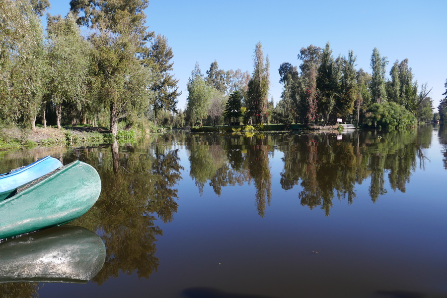 Canoeing Xochimilco