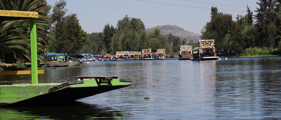 Trajinera boats in Xochimilco