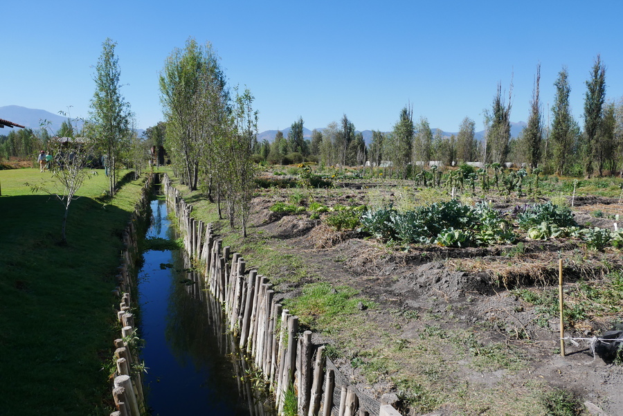 Farm in Xochimilco