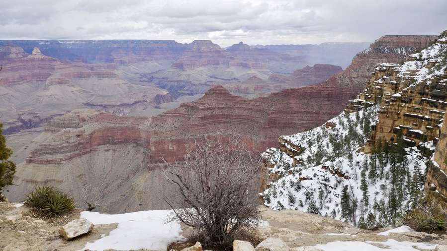 Yavapai Point