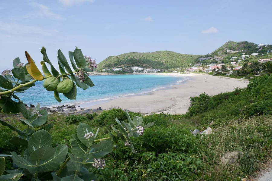 Flamands Beach, St Barthelemy